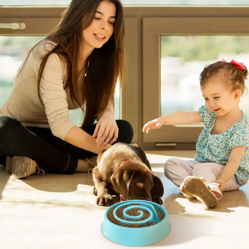 Interactive Slow-Feeding Bowl For Dogs And Cats 1
