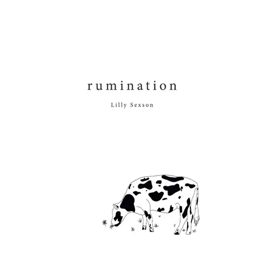 Rumination: A Thoughtful Paperback Collection 1